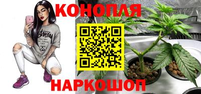 spice Боровичи